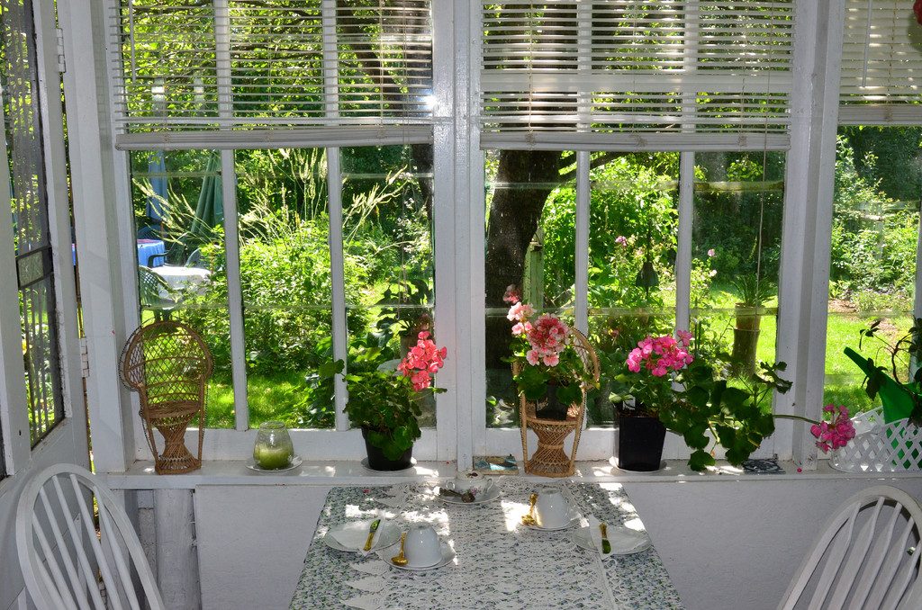 Bright sunroom windows looking out onto a leafy garden